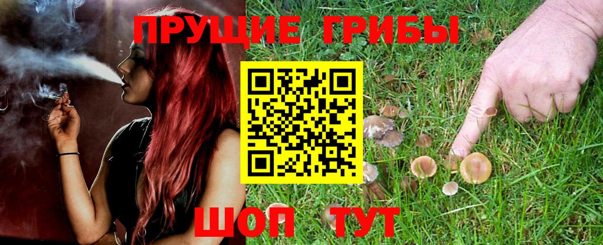 Псилоцибиновые грибы Magic Shrooms Старая Русса