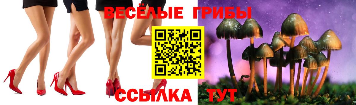 Галлюциногенные грибы Magic Shrooms  Вход с VPN  Старая Русса 